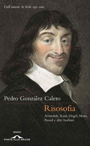 Cover of the book Risosofia by Michel Onfray