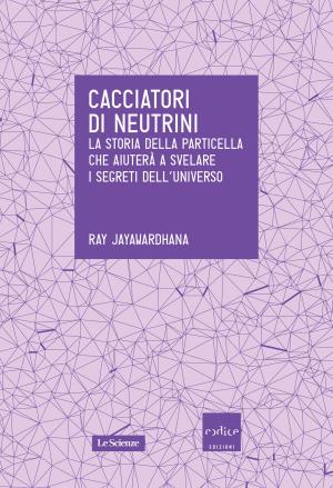 Book cover of Cacciatori di neutrini
