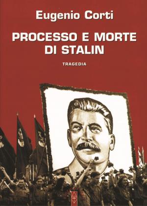 Book cover of Processo e morte di Stalin