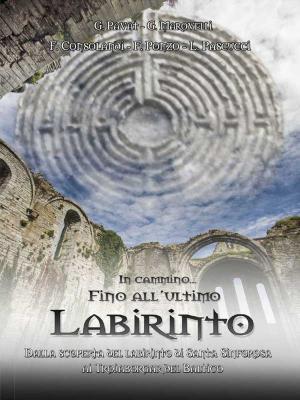 Cover of the book In cammino… Fino all’ultimo labirinto by Daniele Zumbo