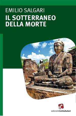 Cover of the book Il sotterraneo della morte by Raffaele Ciccarelli