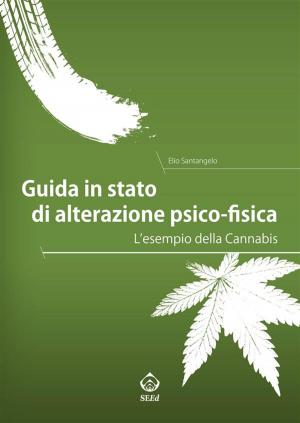 Cover of the book Guida in stato di alterazione psico-fisica by Daniel Ontaneda