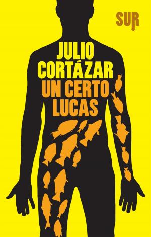 Cover of the book Un certo Lucas by Alan Moore, Jacen Burrows