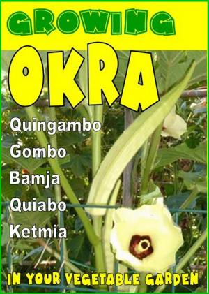 Cover of the book Growing Okra in your vegetable garden. by Bruno Del Medico, Illustratrice Elisabetta Del Medico