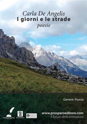 Cover of the book I giorni e le strade by Simone Mazza