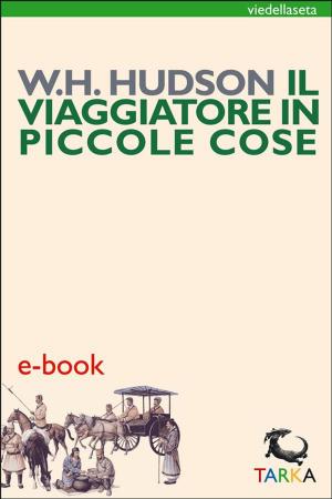 Cover of the book il viaggiatore in piccole cose by Roger Alan Bonner