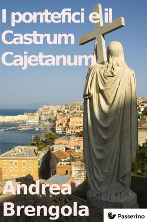 Cover of the book I pontefici e il Castrum Cajetanum by Erwin A. Bauer