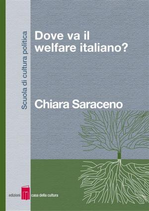 Cover of Dove va il welfare italiano?