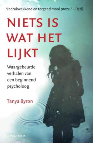 Cover of the book Niets is wat het lijkt by Bies van Ede