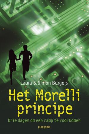 Cover of the book Het Morelli principe by Alexis Aubenque