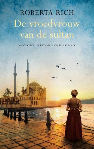 Cover of the book De vroedvrouw van de sultan by Emily Esfahani Smith