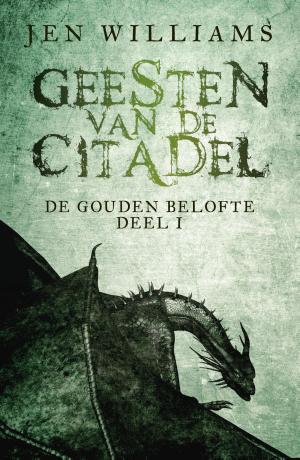 Book cover of Geesten van de citadel