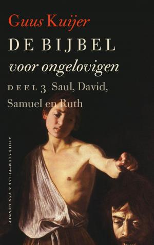 Cover of the book De Bijbel voor ongelovigen by Tomas Lieske
