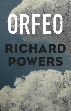 Cover of the book Orfeo by Dimitri Verhulst
