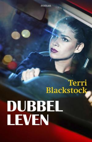 Cover of the book Dubbelleven by Anne West