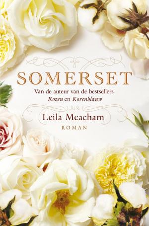 Cover of the book Somerset by Jan Hoek, Rene Erwich, Jan Marten Praamsma