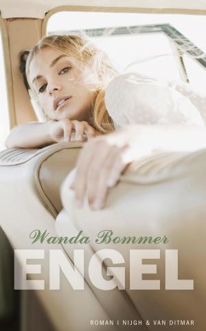 Cover of the book Engel by J. Bernlef