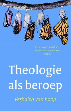 Cover of the book Theologie als beroep by Connie Luyt