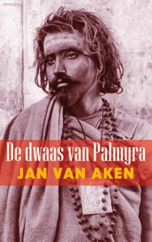 Book cover of De dwaas van Palmyra