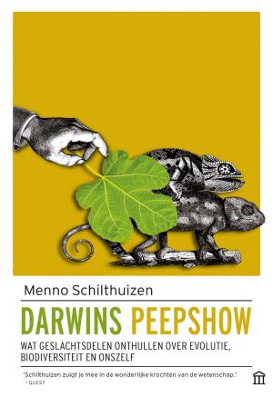 Cover of the book Darwins peepshow by Mhairi Morris