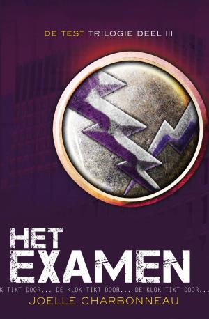 Cover of the book Het examen by Annelies Hoornik, Frans Vermeulen