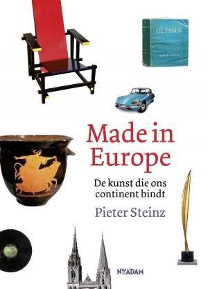 Cover of the book Made in Europe by Femke van der Laan