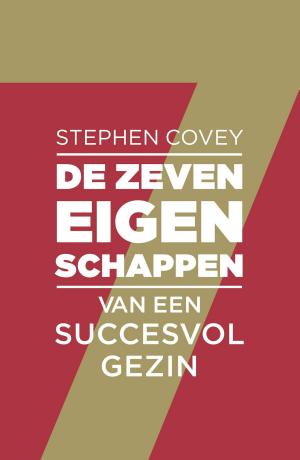 Cover of the book De zeven eigenschappen van een succesvol gezin by Louis Stiller