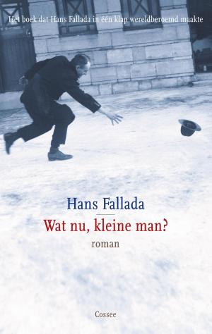 Cover of the book Wat nu, kleine man? by David Foenkinos