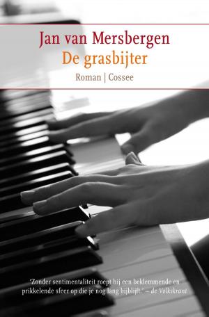 Cover of the book De grasbijter by David Grossman