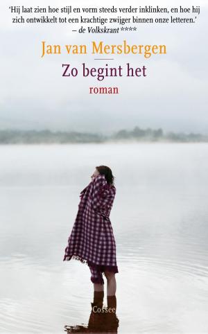 Cover of the book Zo begint het by J.M. Coetzee