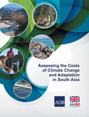 Cover of the book Assessing the Costs of Climate Change and Adaptation in South Asia by Samson Maeniuta Rihuoha
