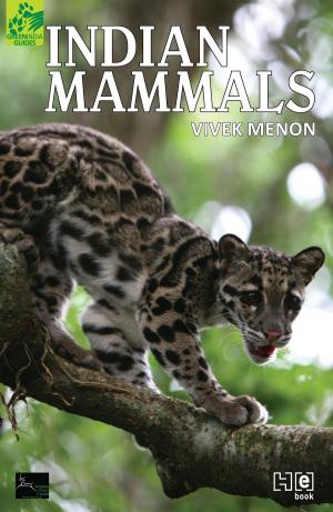 Cover of the book Indian Mammals by Hachette India