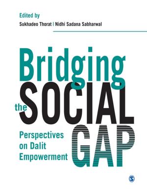 Cover of the book Bridging the Social Gap by Jessica R. Adolino, Charles H. Blake