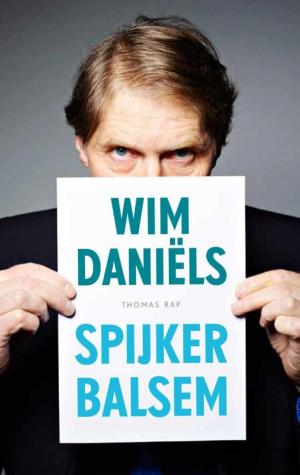 Cover of the book Spijkerbalsem by Marten Toonder