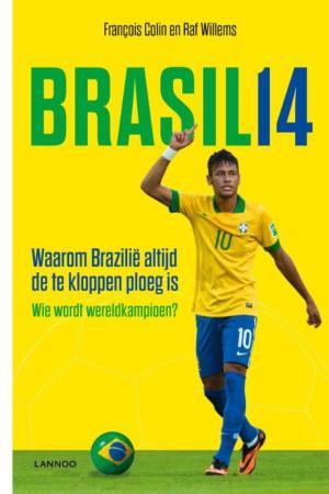 Book cover of Brasil 14