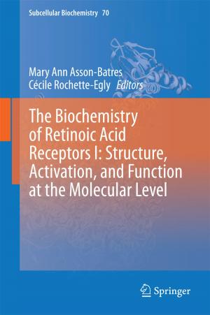 bigCover of the book The Biochemistry of Retinoic Acid Receptors I: Structure, Activation, and Function at the Molecular Level by 