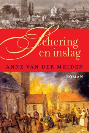 Cover of the book Schering en inslag by Finn Zetterholm