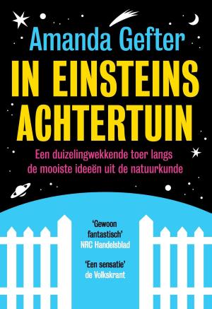 Cover of the book In Einsteins achtertuin by Dr. Robert Gange