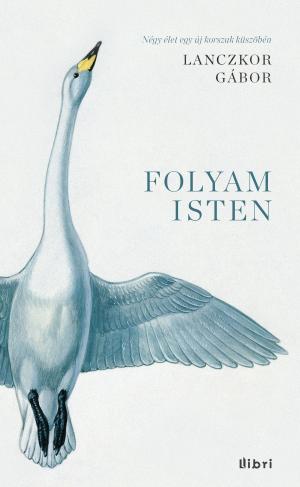 Cover of the book Folyamisten by Miklya Anna