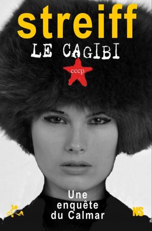 Cover of the book Le cagibi by Patrick Eris