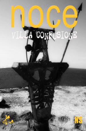 Cover of the book Villa Confusione by Jan Thirion