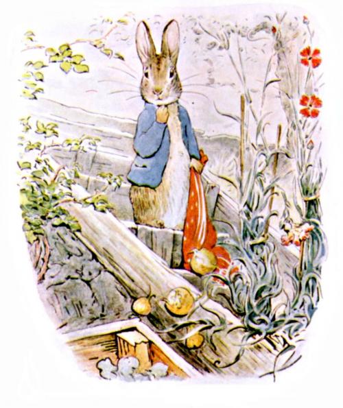 Cover of the book The Original Peter Rabbit Books by Beatrix Potter, Sur