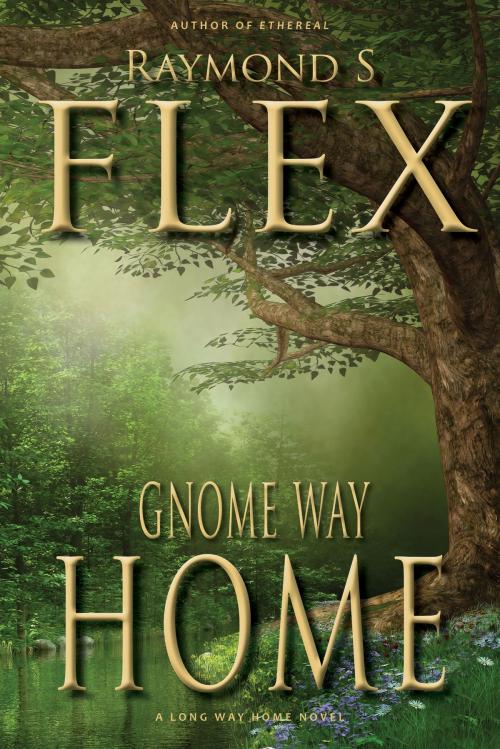 Cover of the book Gnome Way Home by Raymond S Flex, DIB Books