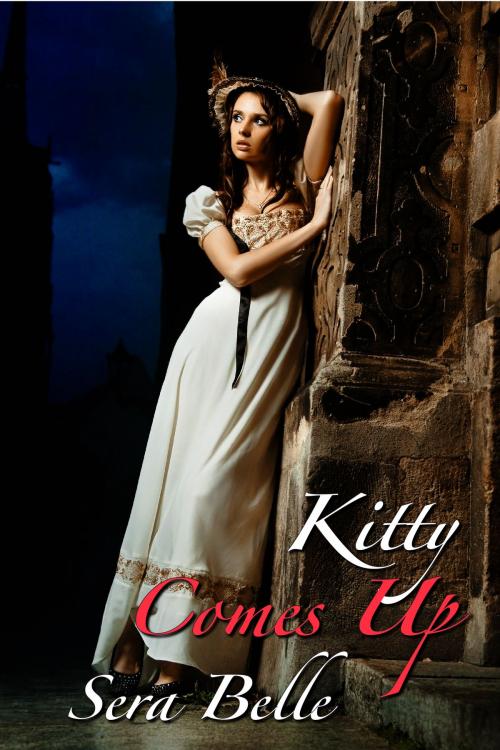 Cover of the book Kitty Comes Upstairs by Sera Belle, Belle Presse
