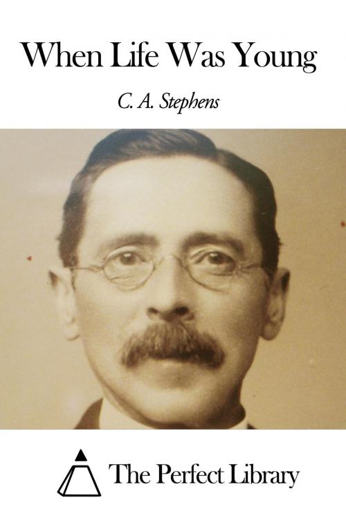 Cover of the book When Life Was Young by C. A. Stephens, The Perfect Library