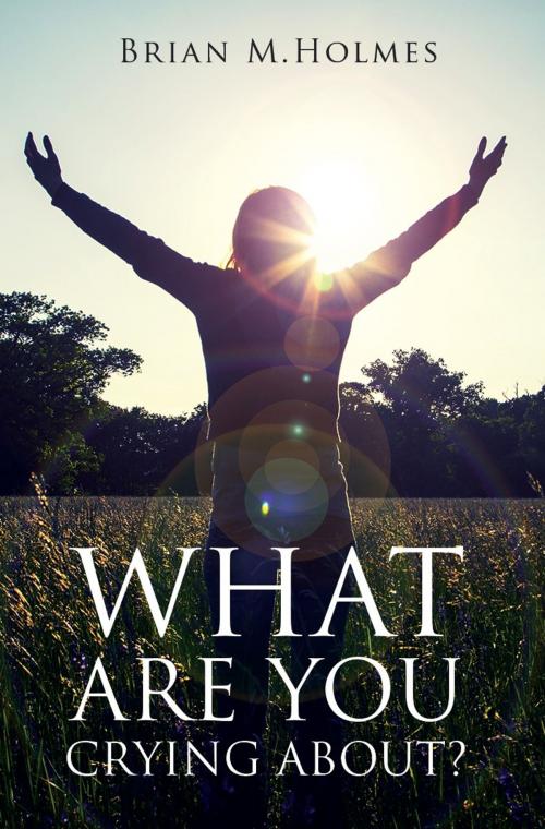 Cover of the book What Are You Crying About? by Brian M. Holmes, Holmes House Press