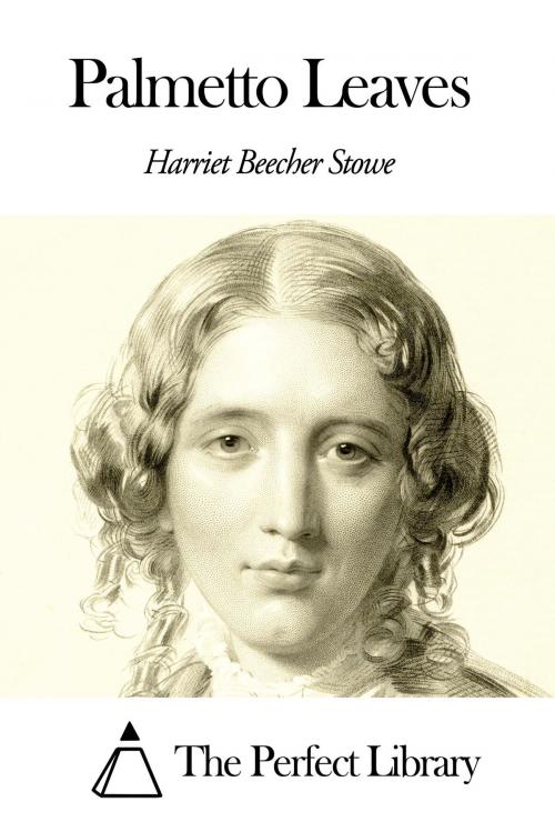 Cover of the book Palmetto Leaves by Harriet Beecher Stowe, The Perfect Library