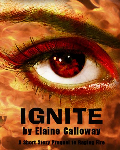 Cover of the book Ignite by Elaine Calloway, The Writers Canvas, LLC