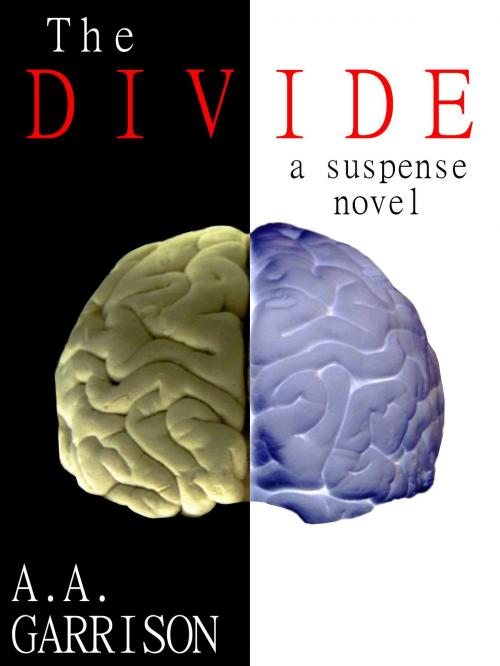 Cover of the book The Divide by A.A. Garrison, A.A. Garrison