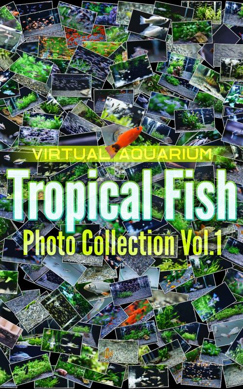 Cover of the book Tropical Fish Photo Collection Vol.1 by Editors Crowd x Synforest, Synforest Publishing